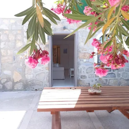 Apartment Dolphin Residences - Lilyum 3 *
